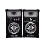 Tiger Sound System 4 inch Bluetooth