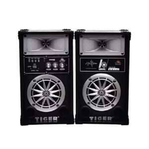 Tiger Sound System 4 inch Bluetooth