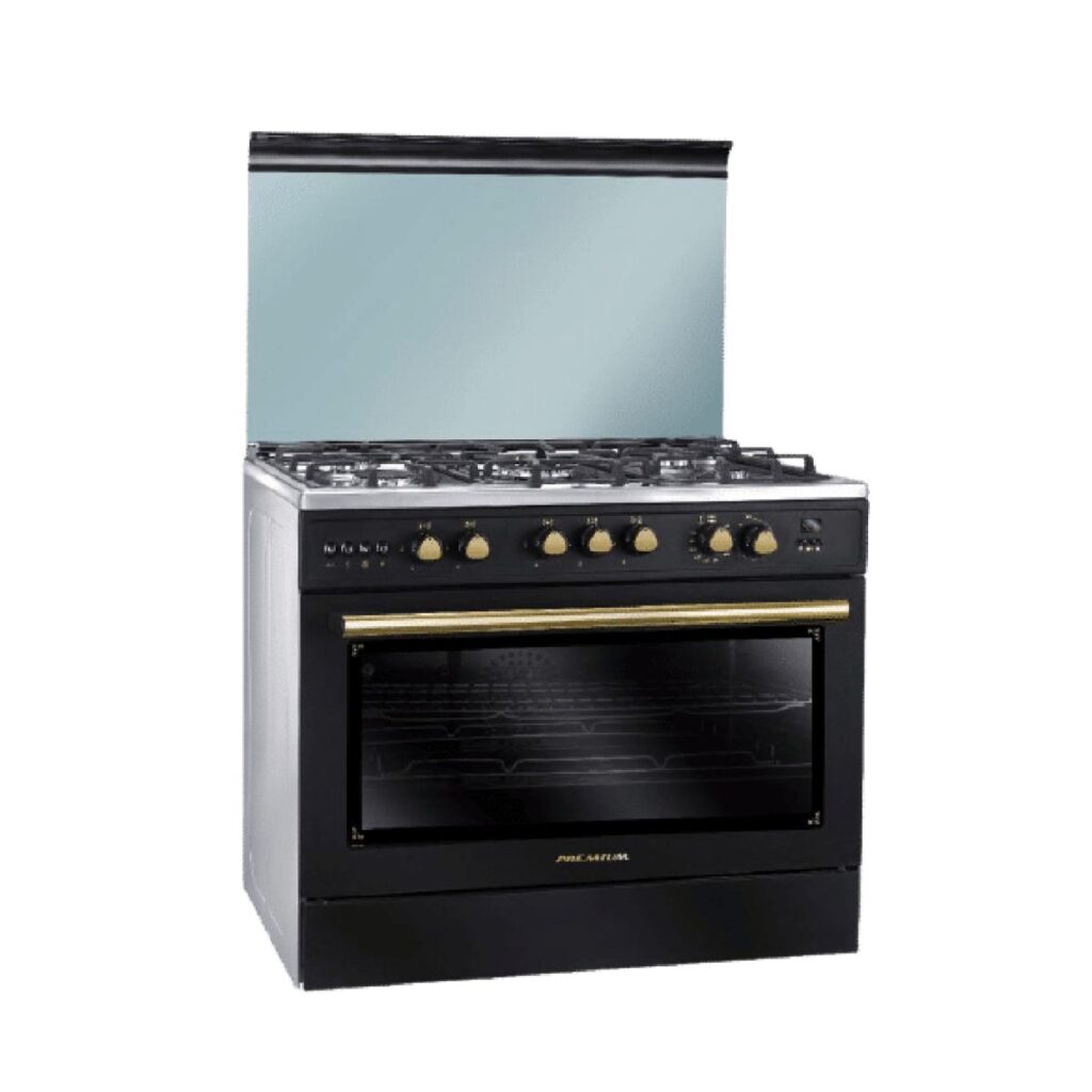 Premium Gas Cooker 5 Burners