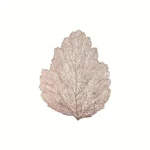 Leaf silicone coaster