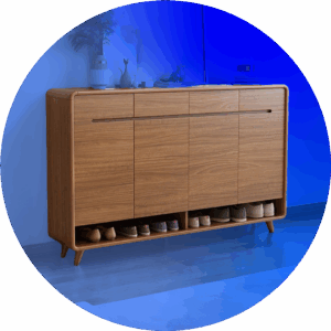 Shoe Storage
