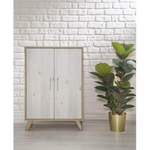 جزامة أحذية بضلفتين و3 أرفف بطول 100 سم مصنوعة من الخشب المطلي بطبقة HPL – الموديل ANT1068